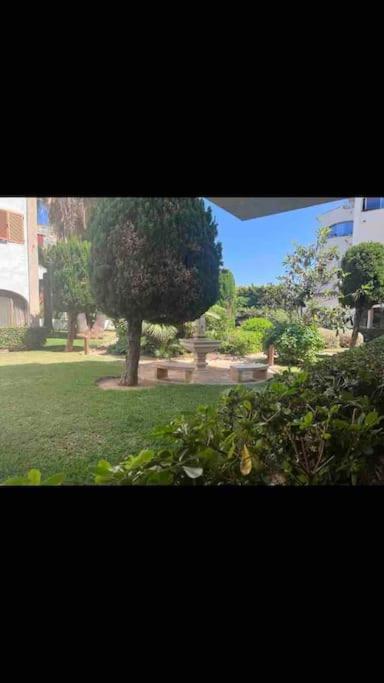 Estudio Montanar A 50 Metros Del Mar Javea Exterior photo
